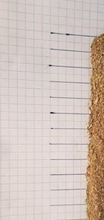 On an A4 paper make 22 lines at 1cm intervals. Sprinkle with the herbs.
Fold the paper lengthwise so that the herbs form an even string. Take 1cm / day